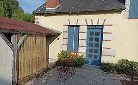 Le Roi des chats, gîte proche de Beauval et des châteaux